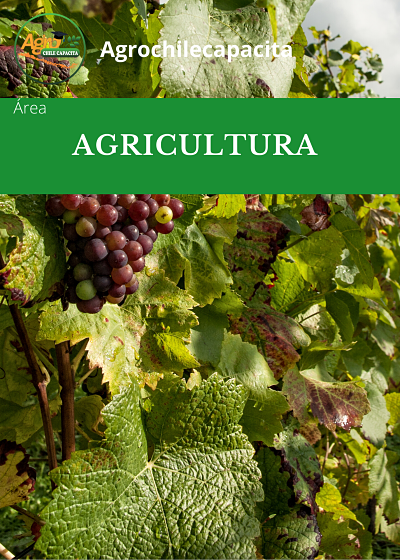 agricultura_opt