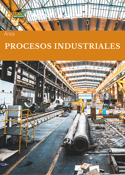 procesos ind_opt