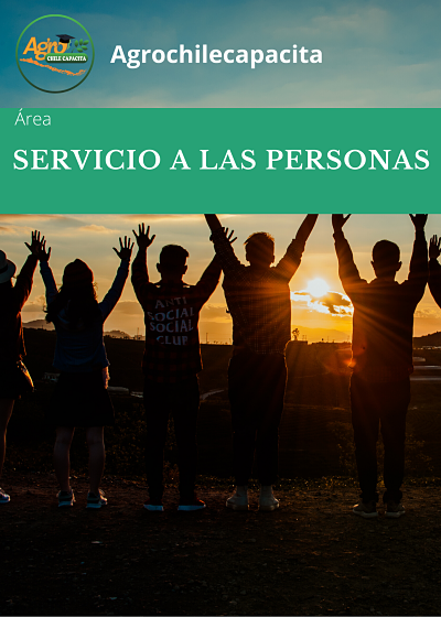 servicio_opt