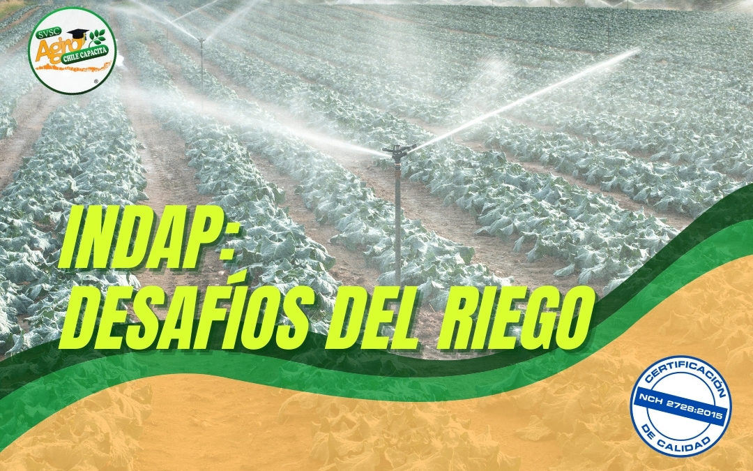 INDAP ABORDA DESAFÍOS 2021 EN RIEGO PARA LA PEQUEÑA AGRICULTURA